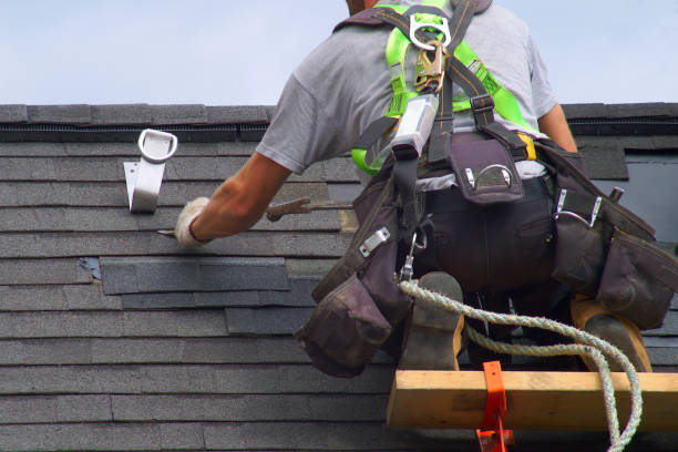 Best Roof Ventilation Installation  in USA